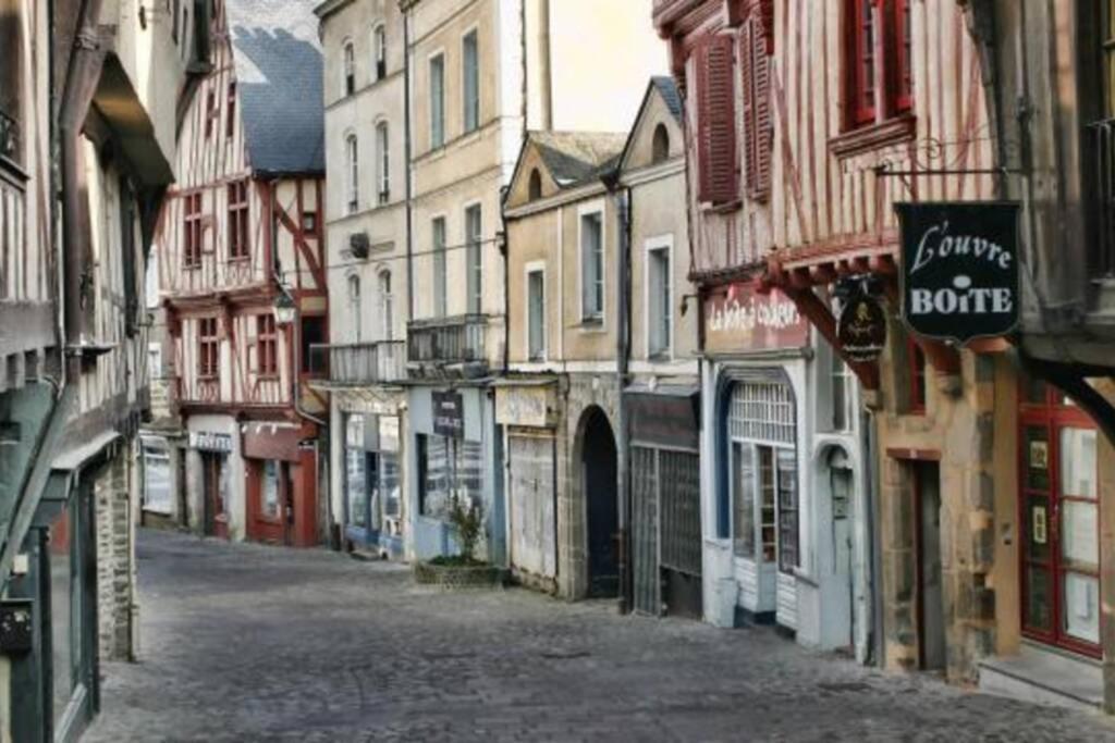 Centre-Ville : Maison De Charme - Secteur Calme Laval  Eksteriør billede